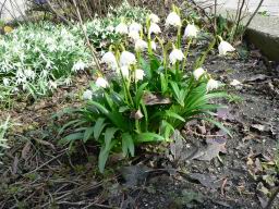 Resize of P1010057.JPG